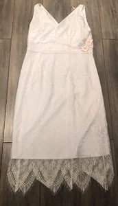 Brand New Nanette Lepore Optic White Endless Summer Lace Detailed Dress Size 12 - Picture 1 of 6
