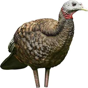 Avian-X Breeder Lifelike Collapsible Decoy LCD Folding Hen Turkey Hunting Decoy  - Picture 1 of 7