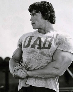 Men's short sleeved T-Shirt Bebak In The Gym grey UAB Arnold vintage style NEW - Picture 1 of 12