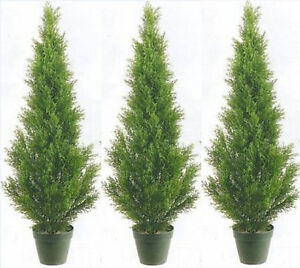 3 CEDAR INDOOR OUTDOOR 3' TOPIARY TREE UV RATED ARTIFICIAL BUSH CYPRESS 2 4 PINE