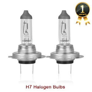 2 x H7 Halogen 12V 55W Super Bright Upgrade Headlight Bulb-150% More Light - Foto 1 di 6