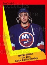 1990-91 ProCards AHL IHL #497 Wayne Doucet