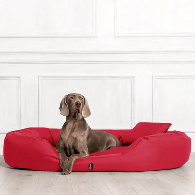 tierlando® Orthopädisches Hundebett SAMMY | Robuster Polyester | Dicke Umrandung