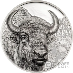 BISON Wild Mongolia 3 Oz Silber Münze 2000 Togrog Mongolia 2025 - Bild 1 von 4