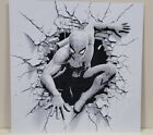 Spiderman 3D Hueforge Print - 8&quot;x8&quot; - Very Cool and textured Wall Art