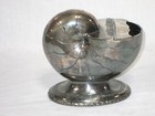 Antique Victorian Atkins Bros. Silverplate Spoon Warmer Nautilus Seashell