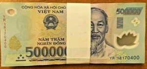 Vietnamese Dong 50 Million ( 500000 x 100 Piece ) Vietnam 500,000 Money VND NOTE - Picture 1 of 5