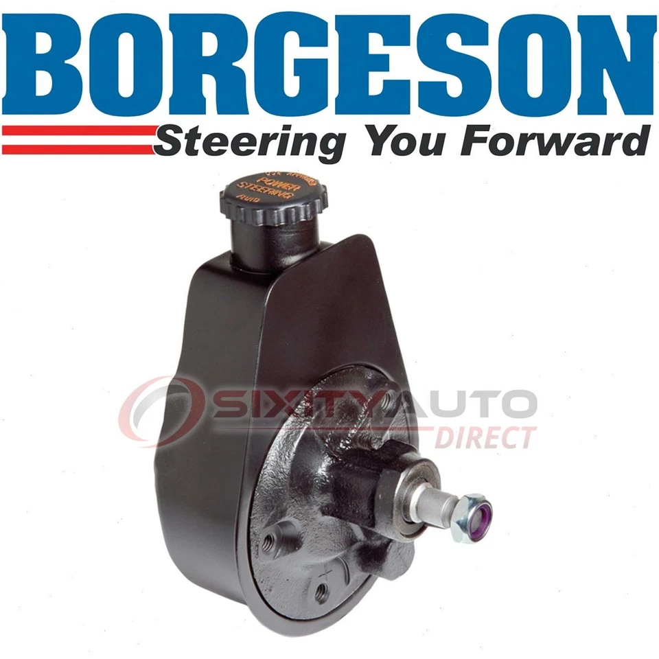 Borgeson Power Steering Pump for 1968-1974 Chevrolet P10 Van - Hoses Pumps  lt Foto 1 de 4