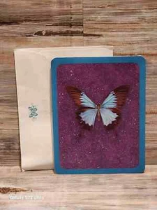 NEU American Greetings Taylor Swift glitzernder Schmetterling Geburtstagskarte selten 8 - Bild 1 von 6
