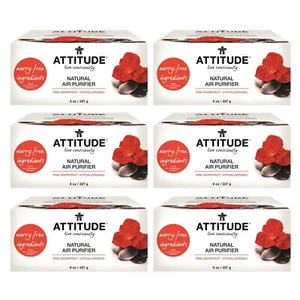 Attitude Natural Air Purifier 8oz 6 Packs - Activated Carbon 全天然除甲醛除臭味 - Picture 1 of 2
