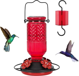 Glass Hummingbird Feeder for Outdoors Hanging, 16 OZ Humming Birds Feeders with - Picture 1 of 8