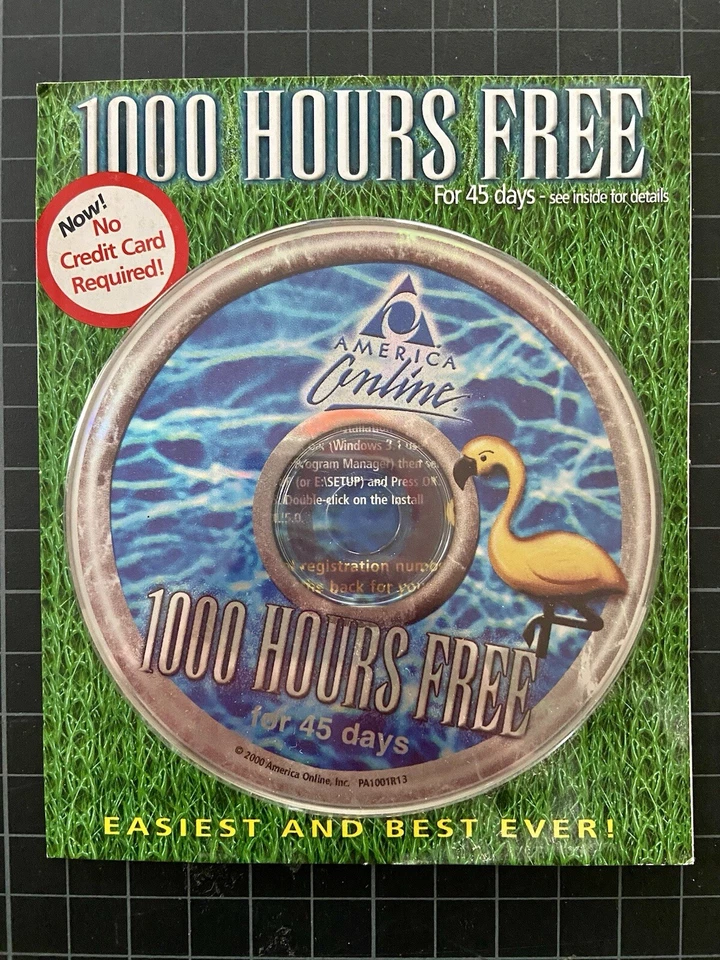 America Online Promo 1000 Hours Free For 45 Days Circa 2000 Green With Codes - Image 1 of 1