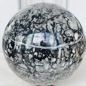 Sfera di cristallo fossile naturale per insetti sfera di cristallo di quarzo Reiki Healing4240G - Foto 1 di 12