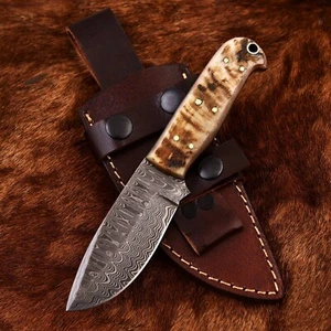 Handmade Damascus Steel Custom SHEEP HORN Camping Hunting Skinner Sport Knife - Picture 1 of 8