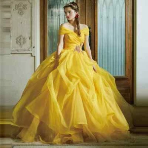 Princess Evening Dresses Layered Lush Organza Dress Ball Gown Dress Floor Length - Picture 1 of 6