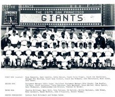 1975 SAN FRANCISCO GIANTS 8X10 TEAM PHOTO BASEBALL PICTURE MLB