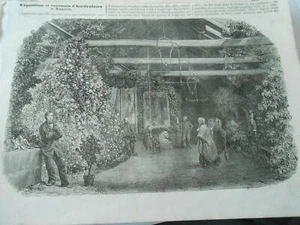 Gravure 1853 - Expo et concours d'Horticulture à Angers - Imagen 1 de 1