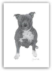 CARTOLINA STAFFORDSHIRE BULL TERRIER/STAFFIE - dal disegno originale di Joanne T Kell - Foto 1 di 2