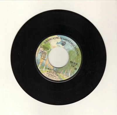 America Amber Cascades 1976 Vinyl 45 - Image 1 of 2