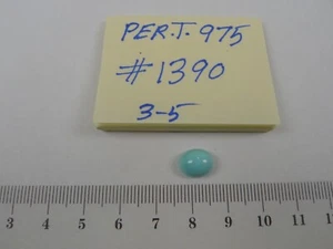 Persian Turquoise 100% Natural 1 Oval Cabochon 3.23 TCW - Picture 1 of 2