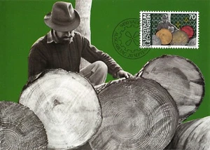 Maximum Card FDC LIECHTENSTEIN Man & Work 1982 September MK 33 n2 - Picture 1 of 2