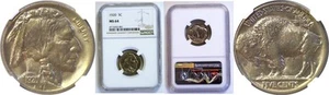 1920 5C Buffalo Nickel NGC MS-64 - Picture 1 of 3