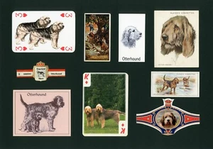 OTTERHOUND DOG MOUNTED SET VINTAGE DOG COLLECTIBLE CARDS AND BANDS GREAT GIFT - Picture 1 of 1