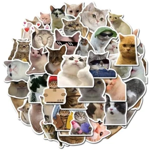 Cute Cat Stickers 50pcs Funny Kitten Sticker Waterproof Vinyl UK Seller - Picture 1 of 6