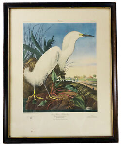 AUDUBON Snowy Heron or White Egret BIRDS OF AMERICA Craft Print Guild ACP Ltd Ed