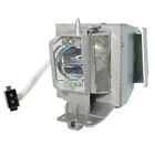 SP.71P01GC01 / BL-FU195B Lamp for OPTOMA S331