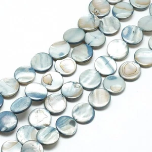 1 Strand Natural Dyed Flat Round Cadet Blue Shell Beads Strands Crafts 14mm 16" - Picture 1 of 2