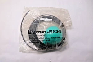 Interruttore a galleggiante Pepperl + Fuchs LFL2-BK-U-CSM5 confezione originale - Foto 1 di 3