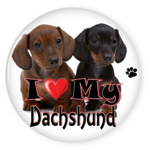  I LOVE MY DACHSHUND DOG PUPPY 3" SAFETY PIN BACK BUTTON - Picture 1 of 2