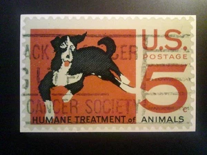 VINTAGE 1966 *MISCHLING HUND #1307 POSTFRISCHE POSTKARTE* - Bild 1 von 2