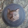 Stampo Per Percorsi In Giardino A Forma Di Gatto – Realizza Lastre In Cemento O Gesso Fai Da Te, 37x27,7x4 Cm - 5