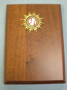 4 x 6 Plakette Auszeichnung Trophäe Baseball Einsatz - Bild 1 von 1