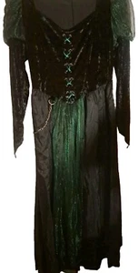 The Wizard of oz long Black & Green Velvet dress halloween costume XL - Picture 1 of 14