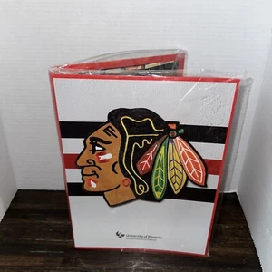 Stanley Cup Champs Chicago Blackhawks Mappe mit Bleistift, Lineal und Radierer. - Bild 1 von 8