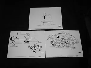 Original EIN JUNGE NAMENS CHARLIE BROWN Kino Pressemappe bleibt PREIS GILT FÜR 1 - Bild 1 von 1