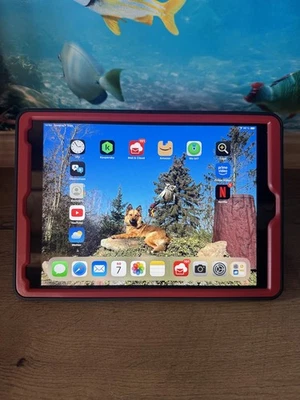 Apple iPad 9. Gen 256GB, Wi-Fi, Cellular, 10,2 Zoll - Silber  - Bild 1 von 4