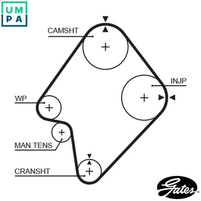 TIMING BELT 5300XS FOR KIA CERES/Platform/Chassis BESTA/Bus/Van MAZDA 2.2L 4cyl - Image 1 of 4
