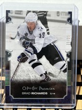 2007/08 O-PEE-CHEE PREMIER BRAD RICHARDS Spectrum/25