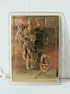 Tarjetas de tarjeta de oro Road Dogg Jesse James WWE Wrestling Danbury Mint 22KT #6 - Imagen 1 de 3