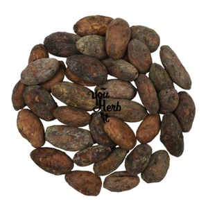 Granos de cacao criollo ecológicos calidad entera de alimentos crudos 25 g-200 g - Theobroma Cacao L. - Imagen 1 de 3