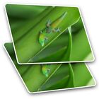 2 x Rectangle Stickers 10 cm - Gold Dust Day Lizard Reptile #14244