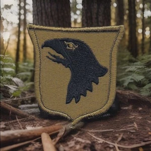 Brown Black 101st Airborne Eagle Shield Badge Patch Fits For VELCRO® BRAND Loop  - Picture 1 of 2
