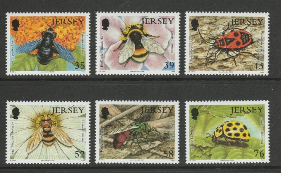 Jersey 2008 Insects (2nd Series) SG 1393-1398 MNH - Image 1 of 1