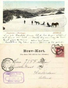 norway norge, HARDANGER, Folgefonden, Horse Sledge (1902) Postcard - Picture 1 of 3