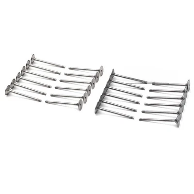 Juego de 24 válvulas de entrada y salida del motor para BMW 325i 330Ci E46 E60 M52 M54 2.5 3.0 Foto 1 de 2