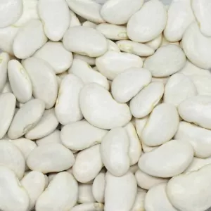 Jumbo bohnenSamen XXLRiesenbohnen , 50+Samen - Bild 1 von 2